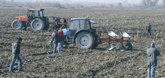 Град Београд нуди у закуп државно пољопривредно земљиште